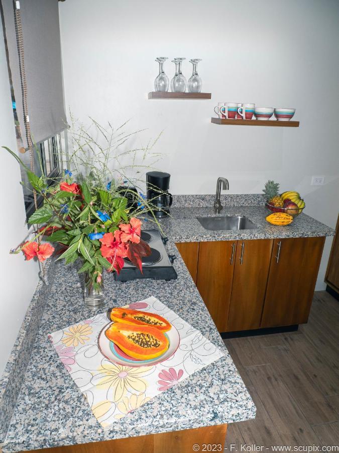 Luxury Apartments Nauyaca By Paradiselodge Platanillo Екстер'єр фото
